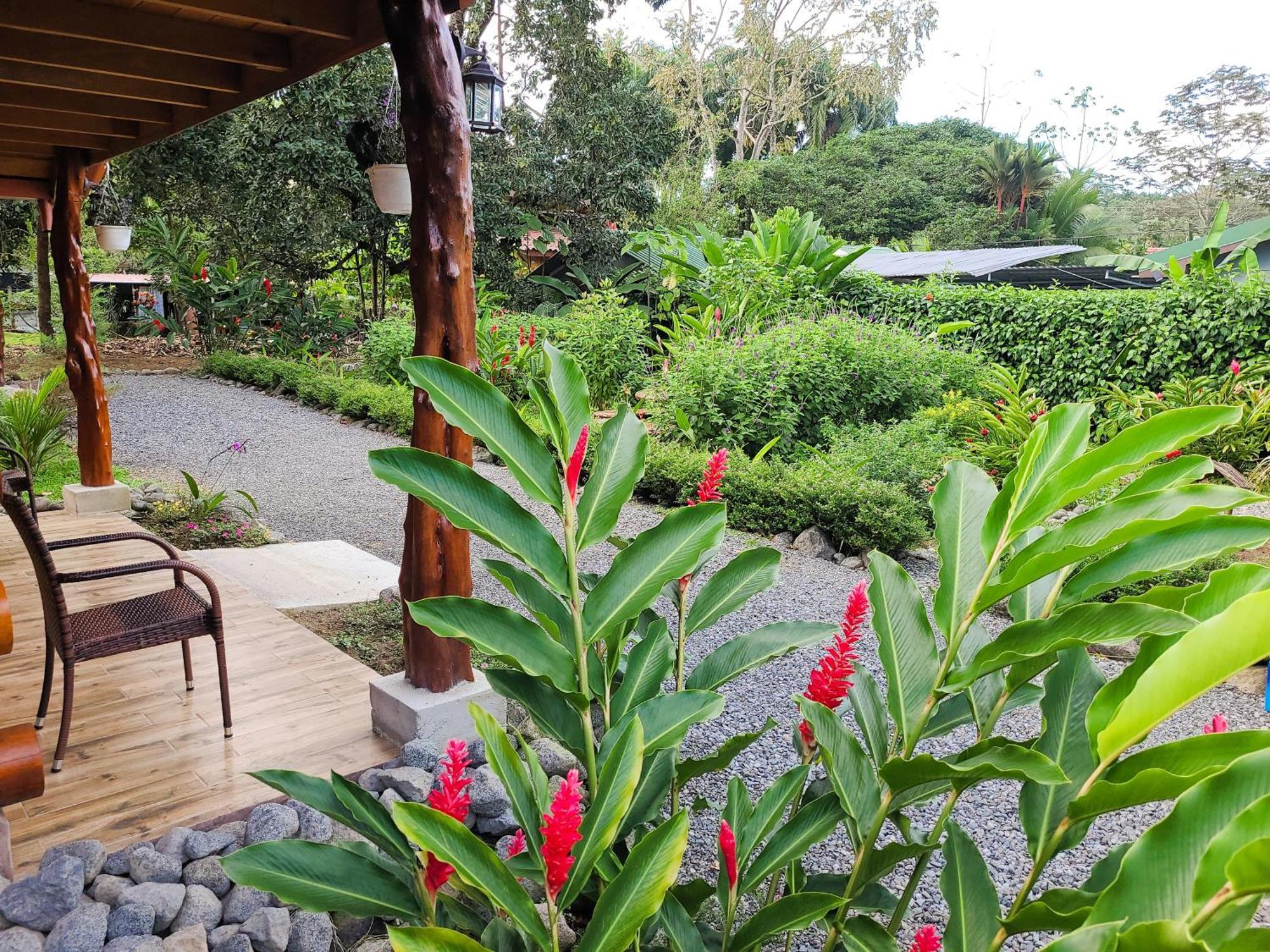 Arenal Sweet Cabins La Fortuna Eksteriør bilde