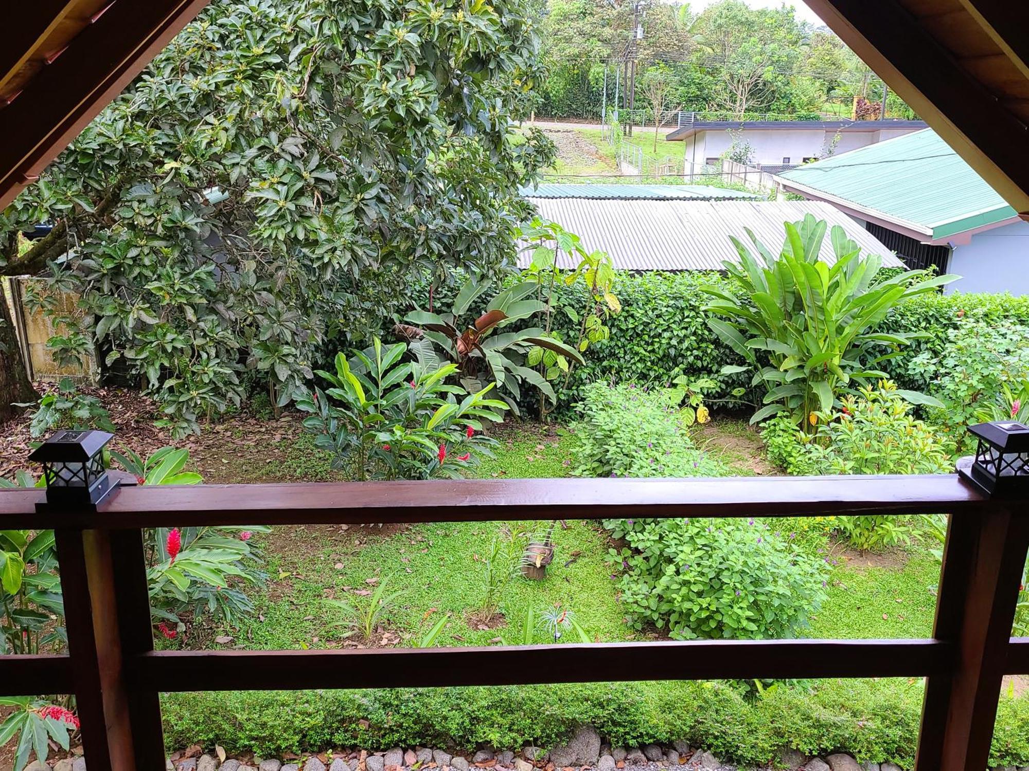 Arenal Sweet Cabins La Fortuna Eksteriør bilde