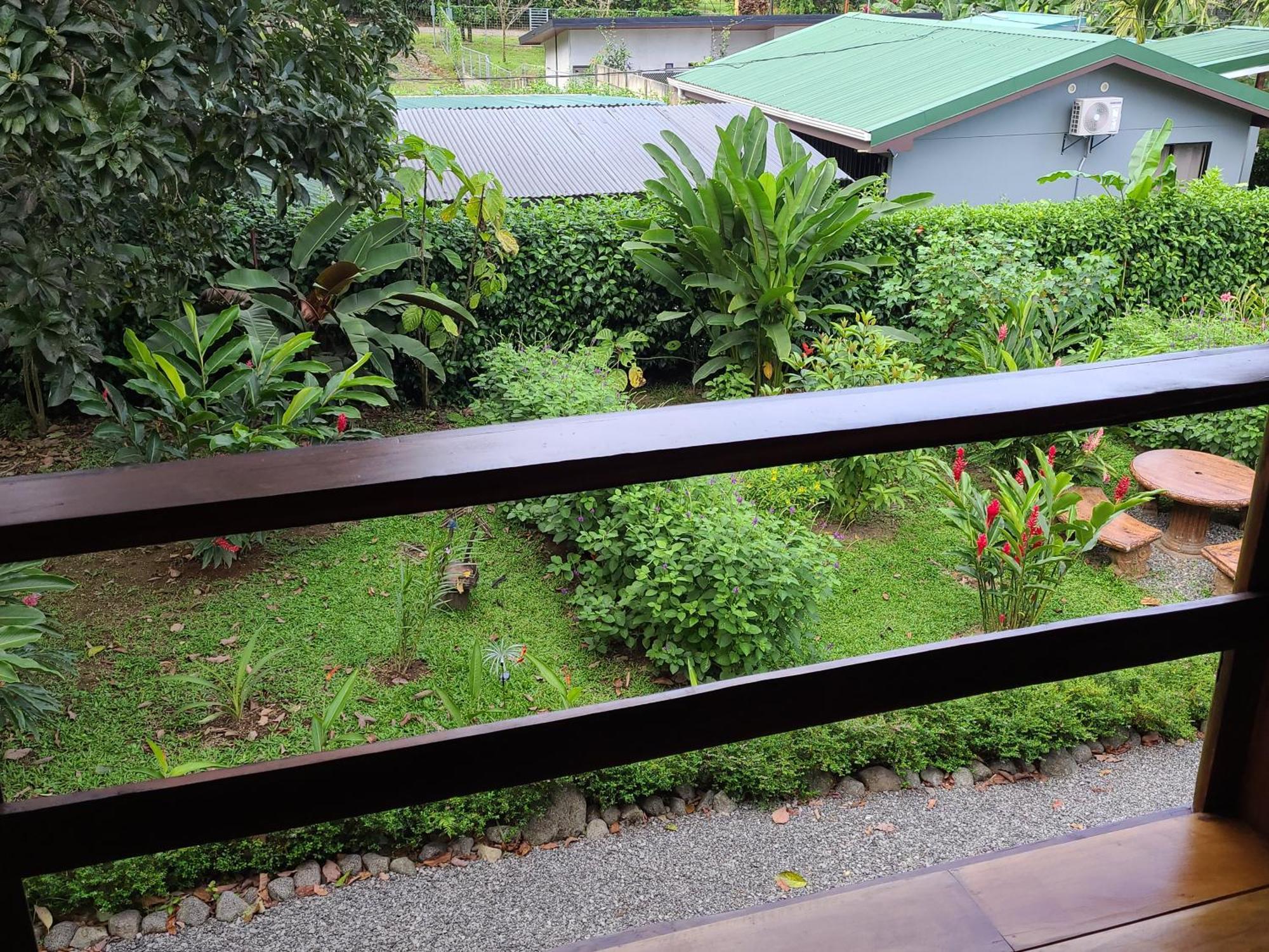 Arenal Sweet Cabins La Fortuna Eksteriør bilde
