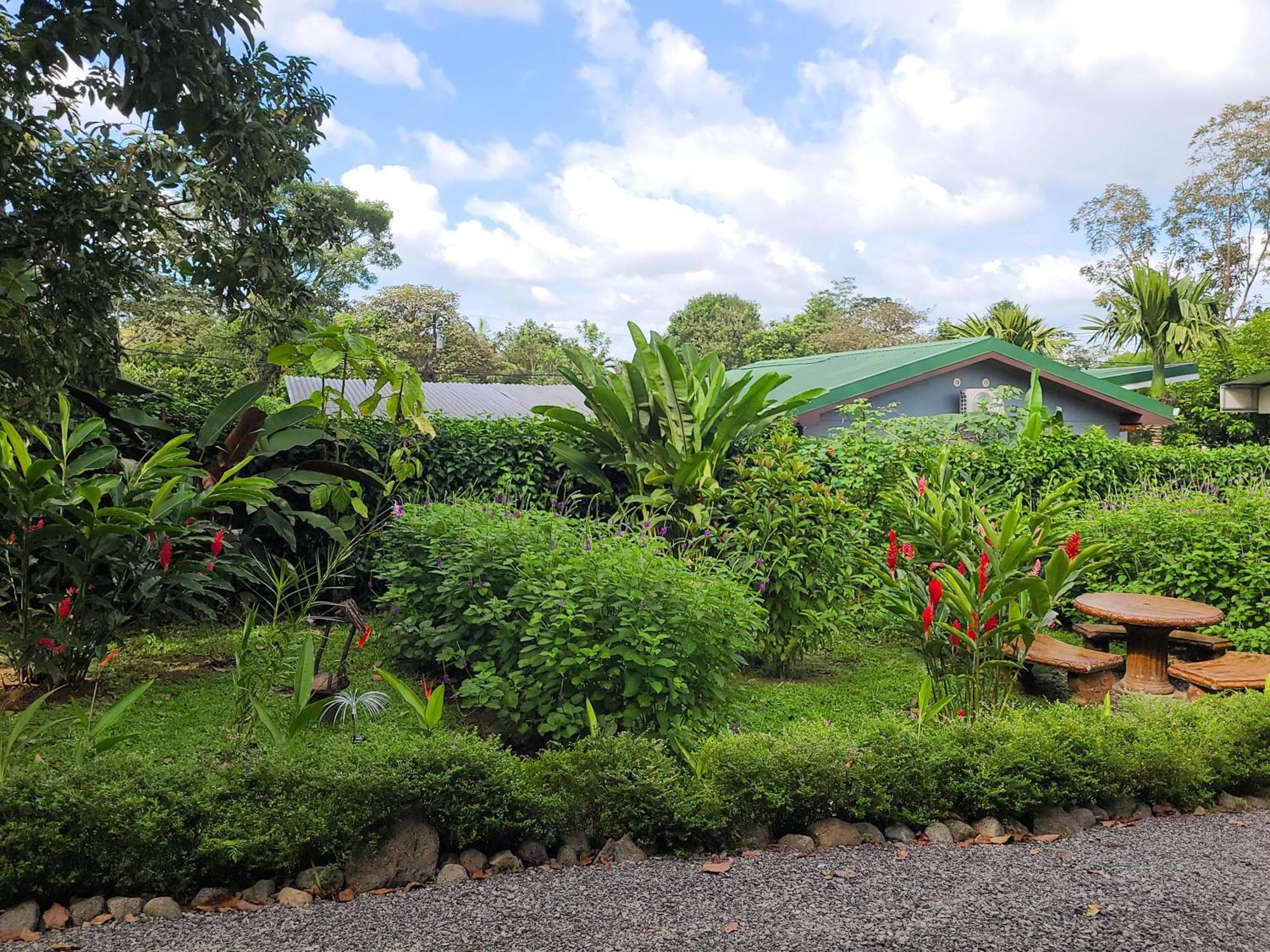 Arenal Sweet Cabins La Fortuna Eksteriør bilde